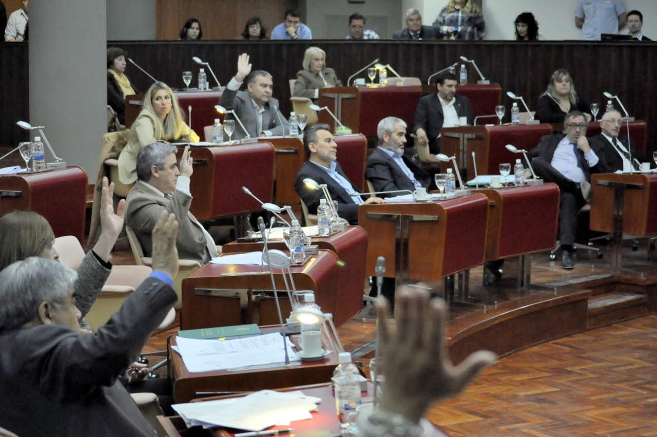 Votación aceite cannabis