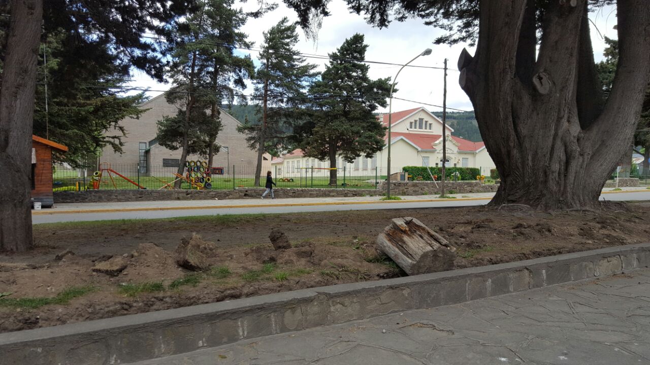 14971600_591792607690468_597347846_o