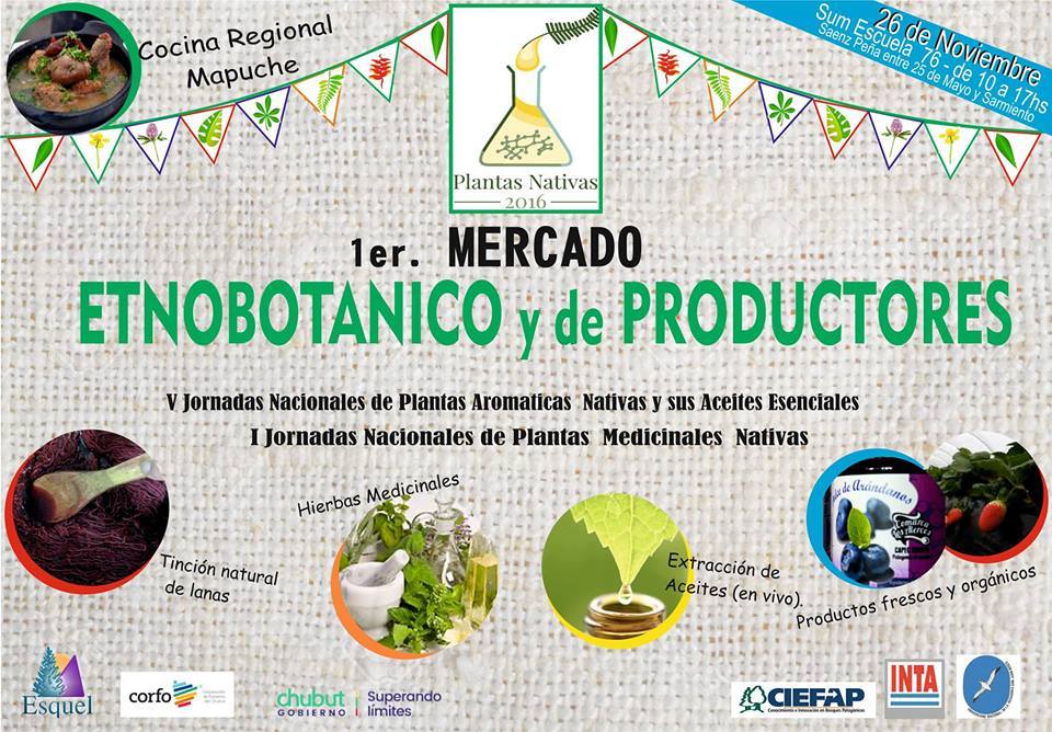 etnobotanico